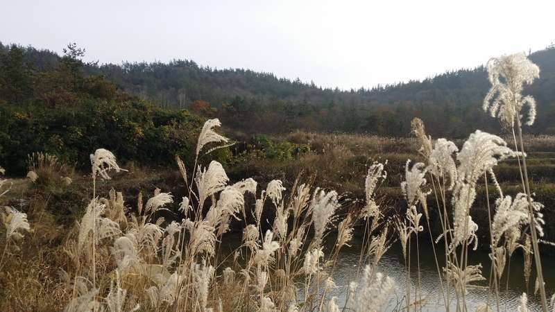 저팔계 놀이터 (커뮤니티 - 자유게시판)