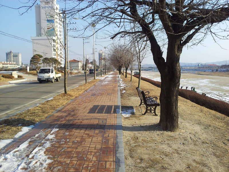 자전차 로드 (커뮤니티 - 자유게시판)