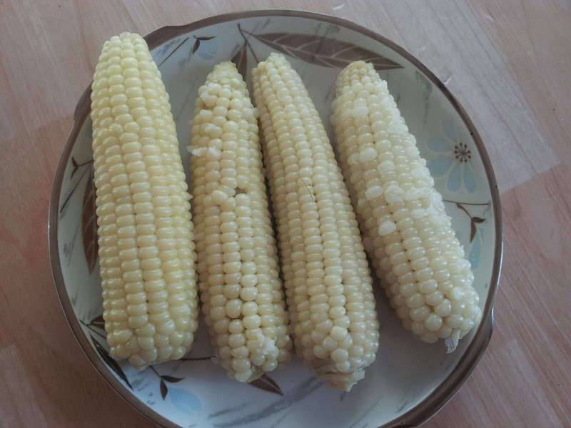 간식 타임강냉이 (커뮤니티 - 자유게시판)