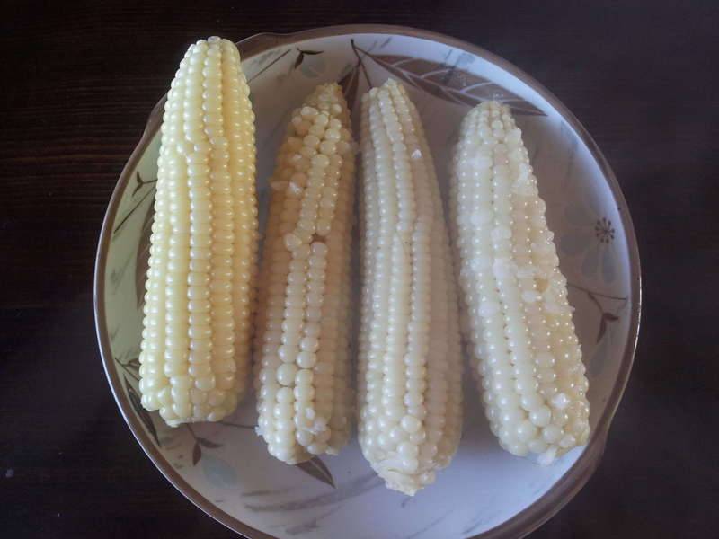간식 타임강냉이 (커뮤니티 - 자유게시판)