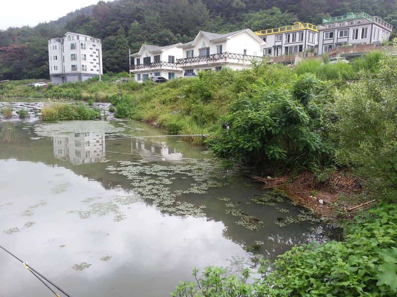 얼굴님과연초수로동출 (커뮤니티 - 자유게시판)