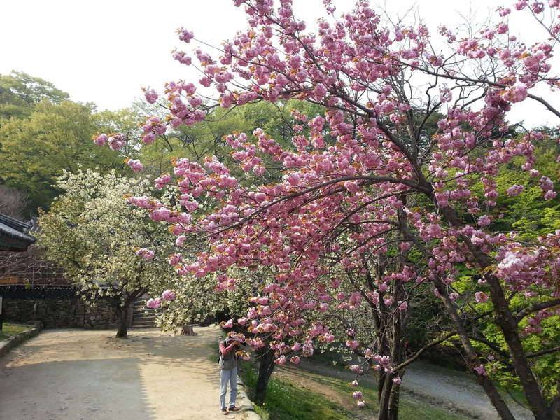 눈 피로 푸세요ᆞ (커뮤니티 - 자유게시판)