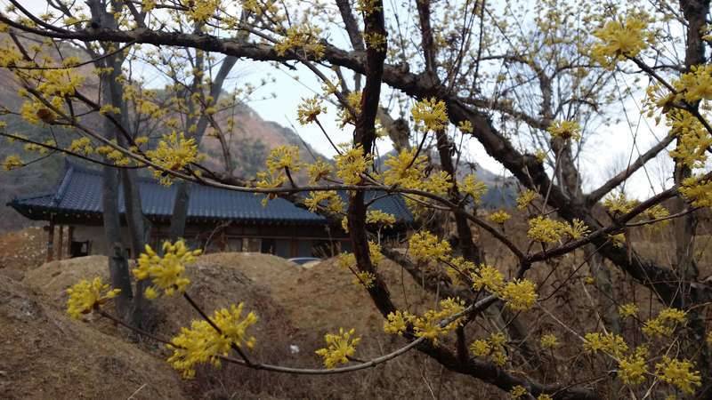 한다고는 하는데ᆢ (커뮤니티 - 자유게시판)