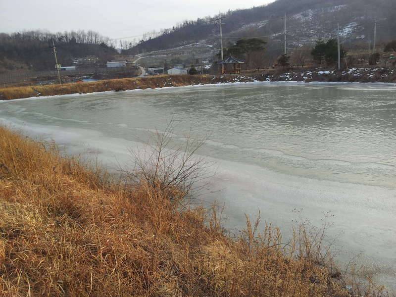 집근처 소류지 탐방 (커뮤니티 - 자유게시판)