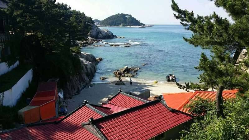 동해안 기행 (커뮤니티 - 자유게시판)