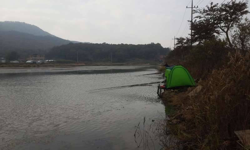 강화 ㄱㄱ지 최대어 얼마나 됄까요 (커뮤니티 - 자유게시판)