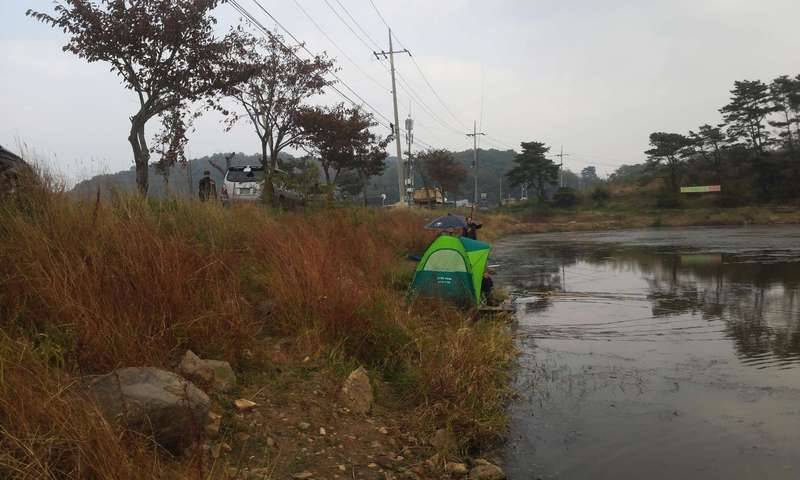 강화 ㄱㄱ지 최대어 얼마나 됄까요 (커뮤니티 - 자유게시판)