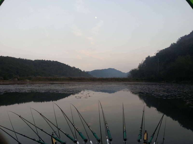 오늘도 기합 팍팍 (커뮤니티 - 자유게시판)