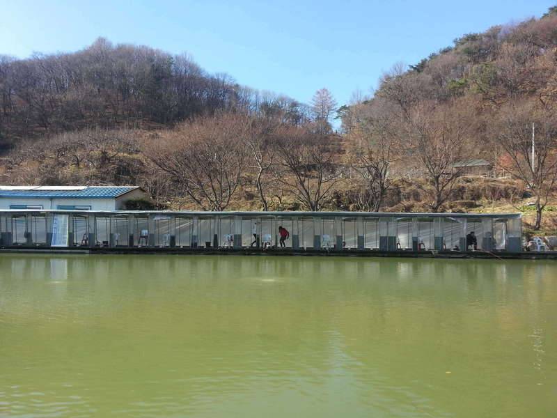 달랑무님 미안합니다 (커뮤니티 - 자유게시판)