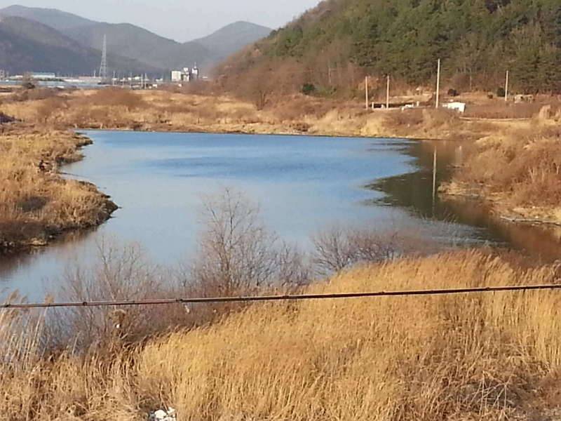 시작의기쁨 (커뮤니티 - 자유게시판)
