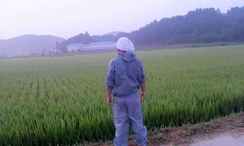 여기는 (커뮤니티 - 자유게시판)