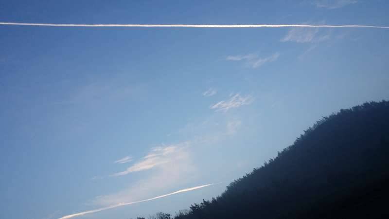 제 말 한번 들어 보실래예 (커뮤니티 - 자유게시판)