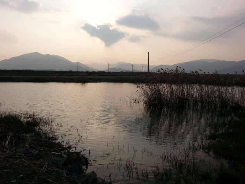 연 날리면 대낄이겠네 (커뮤니티 - 자유게시판)