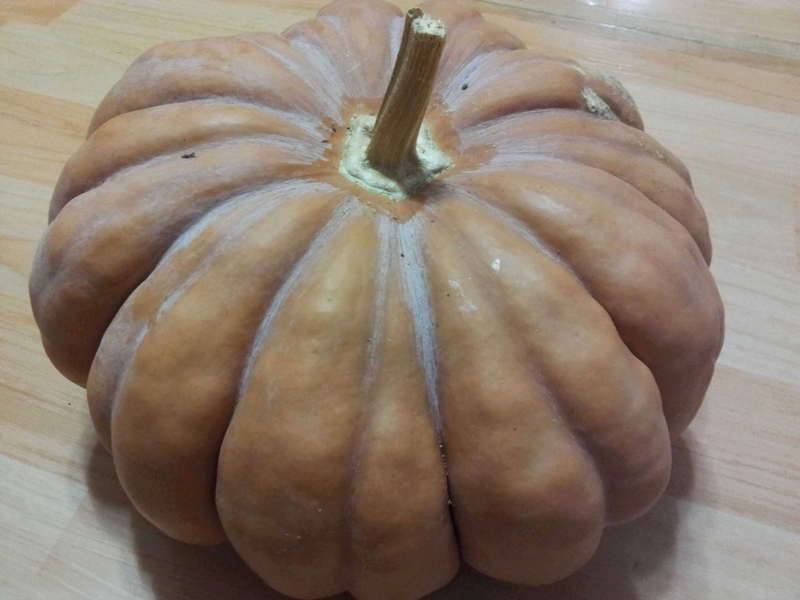 큰 맘먹고 한넘 갈랐습니다 (커뮤니티 - 자유게시판)