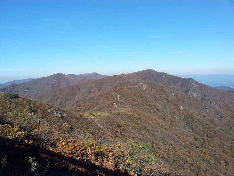 가을산행소백산 (커뮤니티 - 자유게시판)