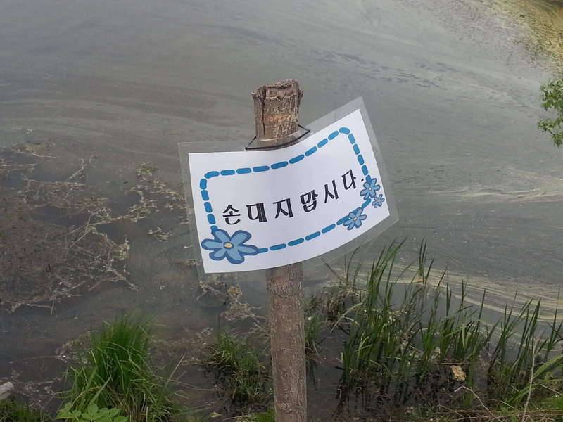 배수기 (커뮤니티 - 자유게시판)