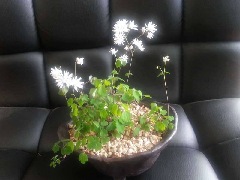 붕어만 고기 아니죠 (커뮤니티 - 자유게시판)