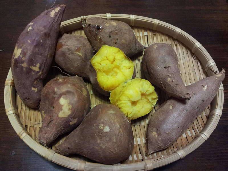 영자는 너무 하였따 (커뮤니티 - 자유게시판)