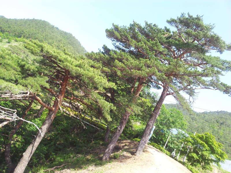사랑 바위 (커뮤니티 - 자유게시판)