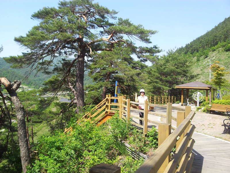 사랑 바위 (커뮤니티 - 자유게시판)