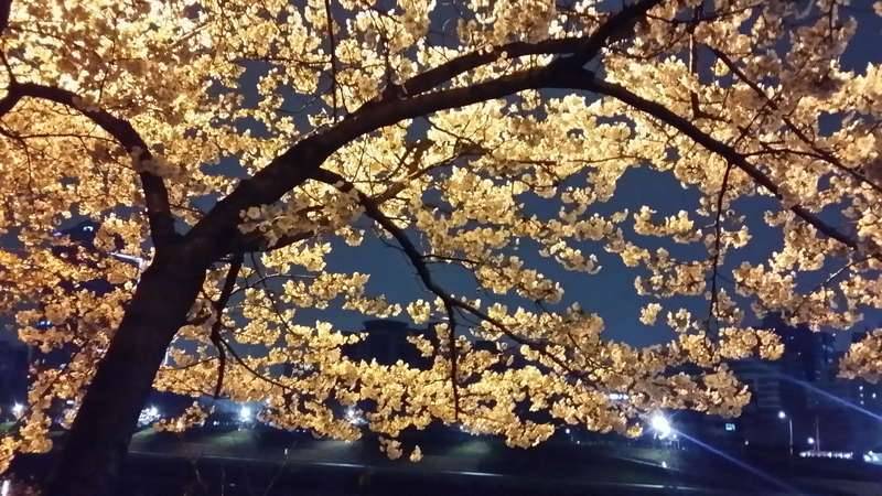 나 보고 어쩌라고ㅡㅡ (커뮤니티 - 자유게시판)