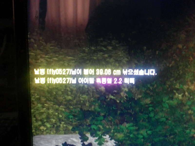독야저수지에서 2박3일 (커뮤니티 - 자유게시판)