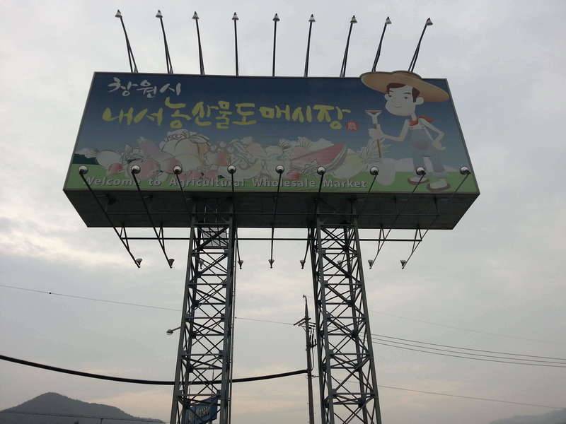말벌특수요원께 피격당했심더 (커뮤니티 - 자유게시판)