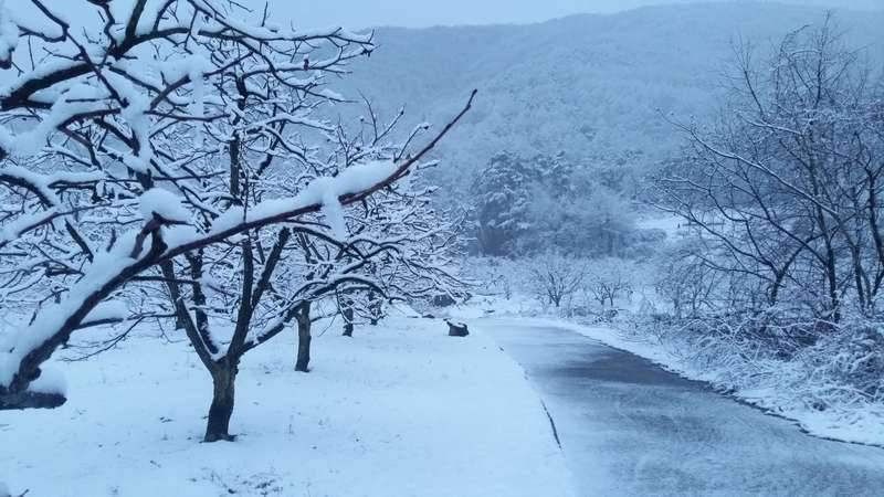 눈 내린 낚시터ㅎ (커뮤니티 - 자유게시판)
