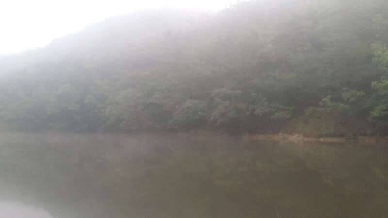 낚시 하러 간건지 자러 간 건지 (커뮤니티 - 자유게시판)