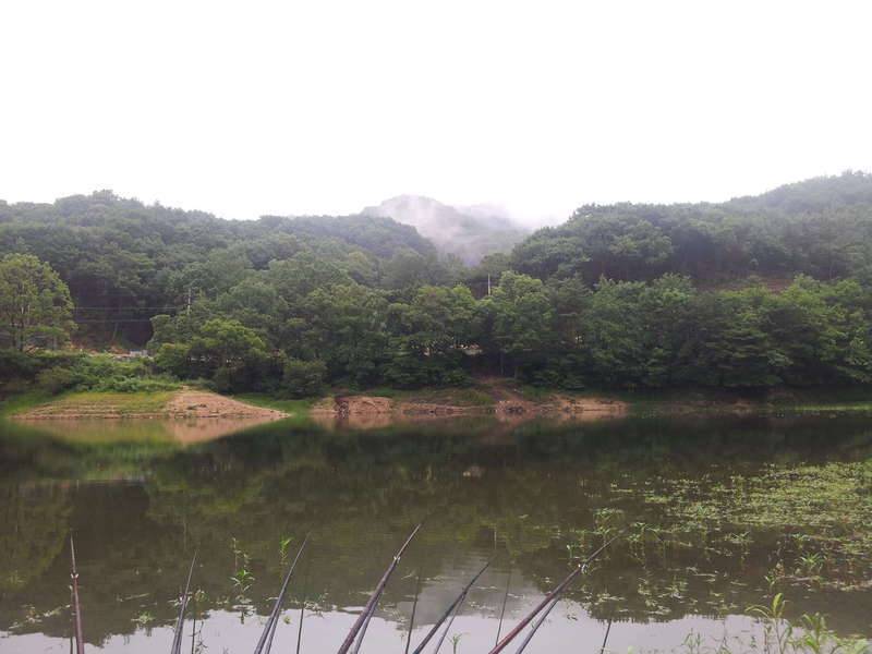슬슬철수해야겠네요 (커뮤니티 - 자유게시판)