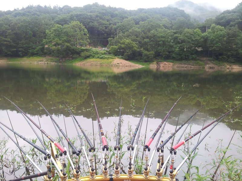 슬슬철수해야겠네요 (커뮤니티 - 자유게시판)