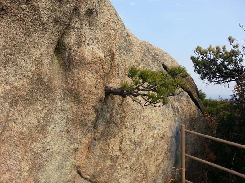 용봉산 (커뮤니티 - 자유게시판)