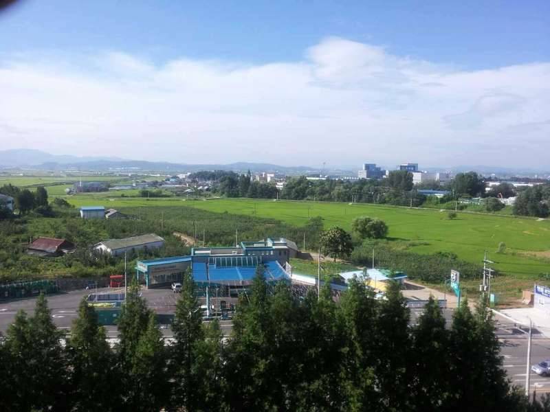 대구분들을 이해하겠네요 (커뮤니티 - 자유게시판)