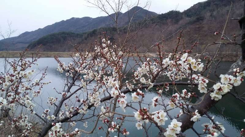잘 살제 (커뮤니티 - 자유게시판)