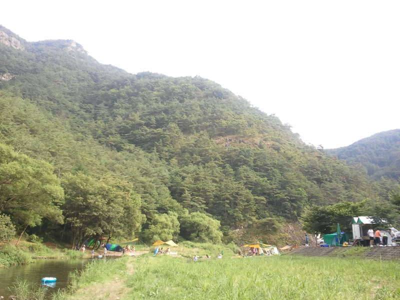 휴일밤 (커뮤니티 - 자유게시판)