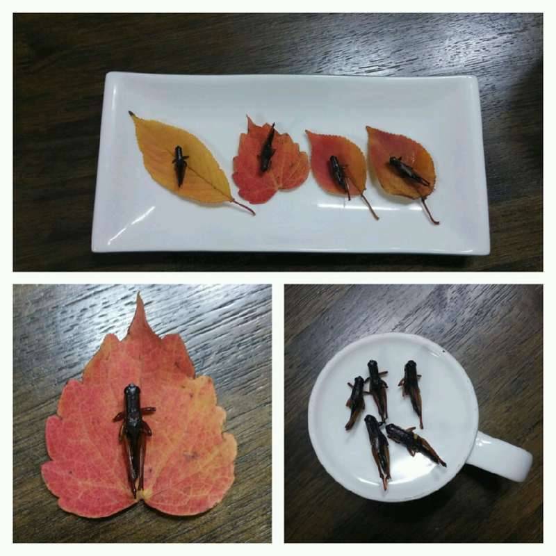 월사금 月謝金 (커뮤니티 - 자유게시판)