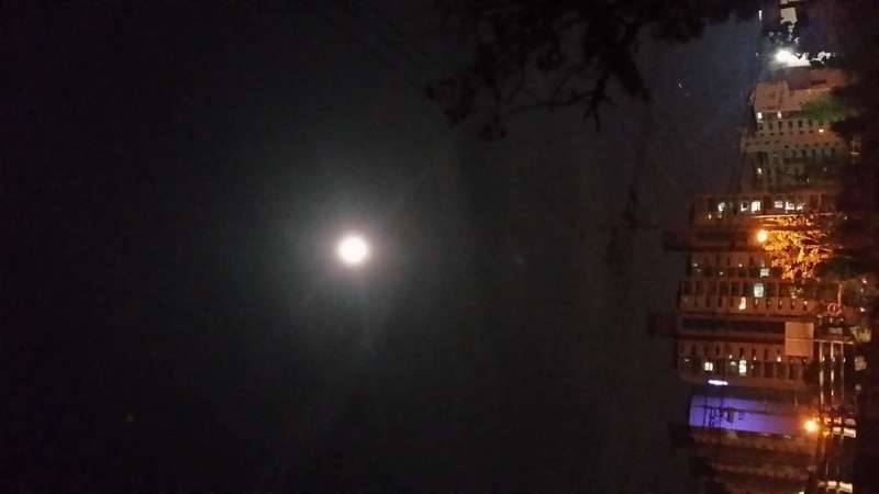 밝은 내일을기다리며 (커뮤니티 - 자유게시판)