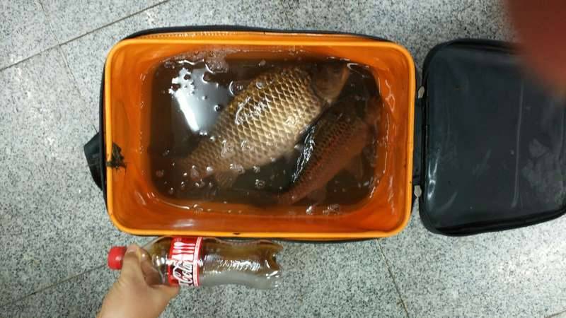 몸이 힘들어요 (커뮤니티 - 자유게시판)