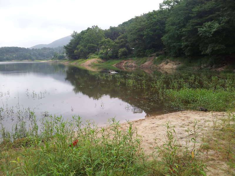 분이기좋았는데 (커뮤니티 - 자유게시판)