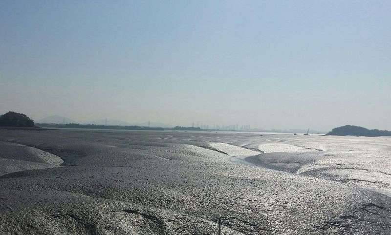 대한민국 만세 (커뮤니티 - 자유게시판)