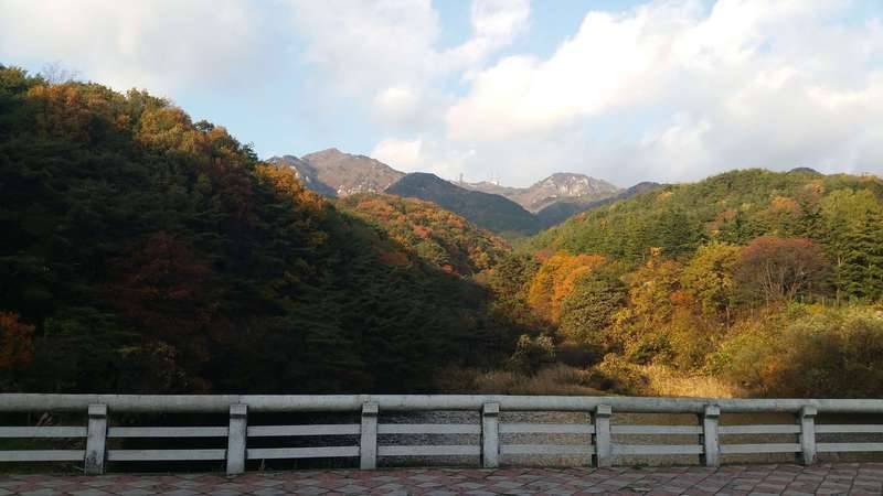 팔공산 겉길을 돌다가 (커뮤니티 - 자유게시판)