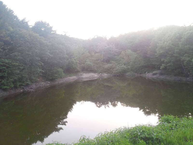 ㅇ우짜까요 승질나네 (커뮤니티 - 자유게시판)