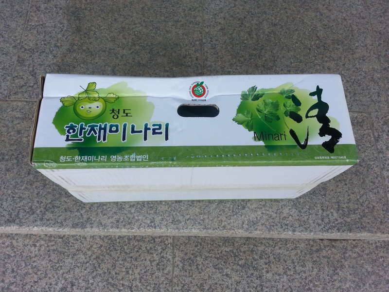 시골집 (커뮤니티 - 자유게시판)