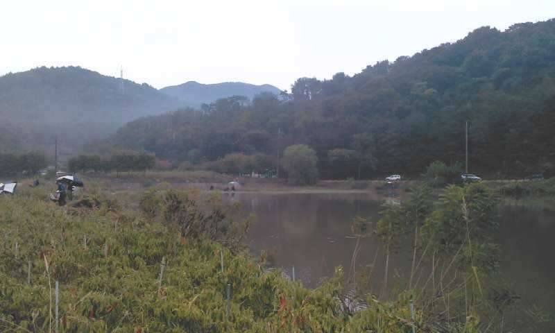 예의없는 것들 (커뮤니티 - 자유게시판)