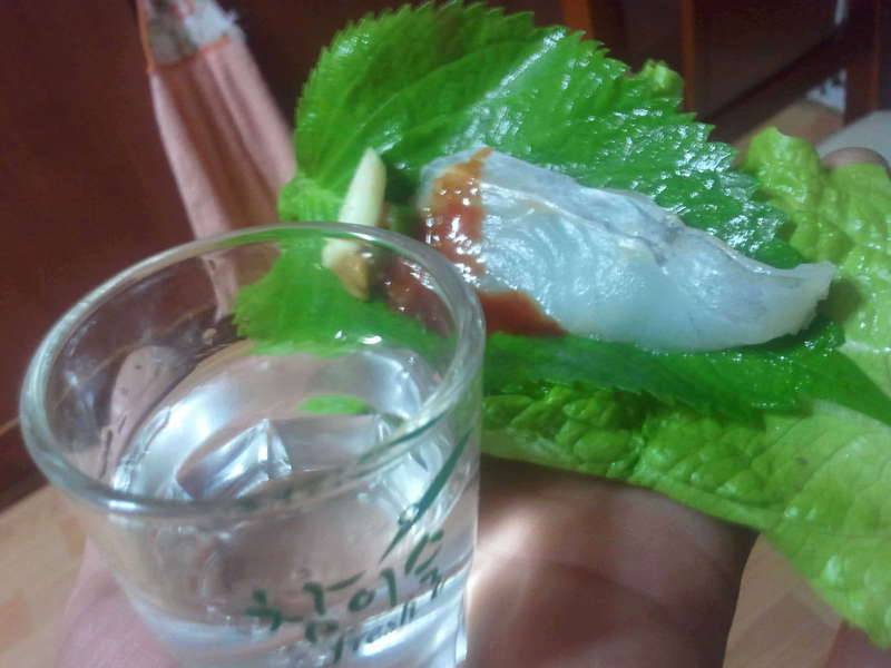 살맛납니다 (커뮤니티 - 자유게시판)