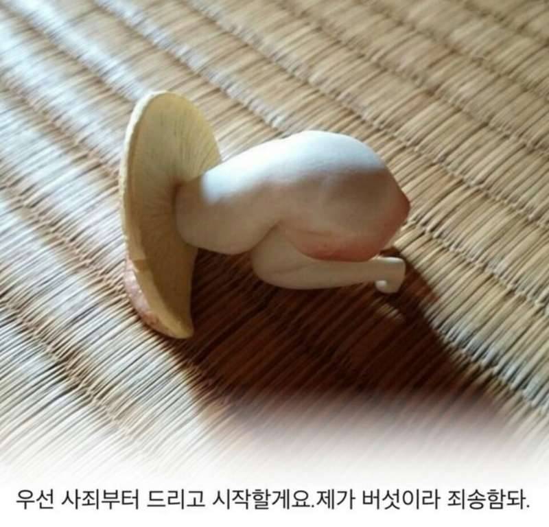 바보같은 나 ㅡㅡ (커뮤니티 - 자유게시판)