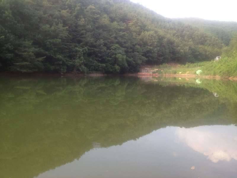 산메기 50수 낚시 (커뮤니티 - 자유게시판)