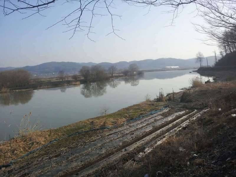 충주 주덕천 지류 (커뮤니티 - 자유게시판)