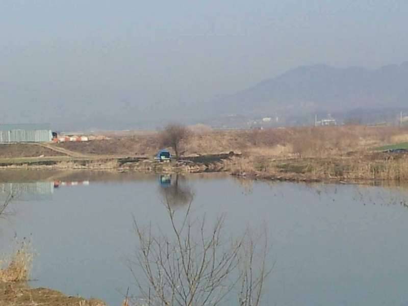 충주 주덕천 지류 (커뮤니티 - 자유게시판)