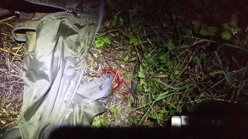 밤에 낚시대랑 같이 요단강 건널뻔함ㅜㅜ (커뮤니티 - 자유게시판)